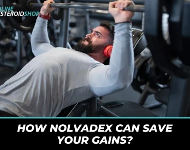 Nolvadex, PCT, post cycle therapy, muscle gains, gynecomastia prevention, testosterone recovery, bodybuilding