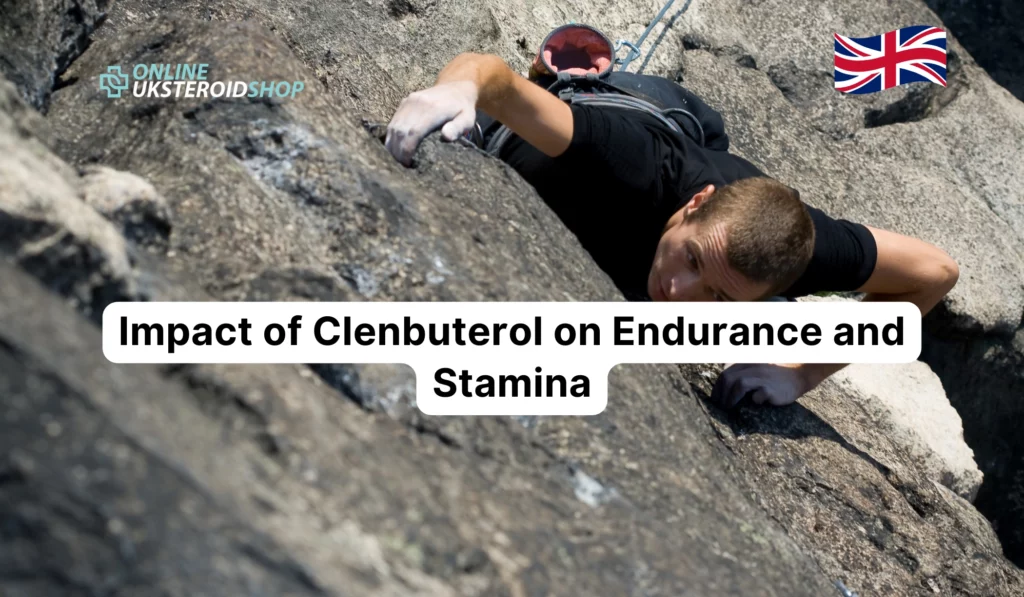 Clenbuterol on Endurance and Stamina